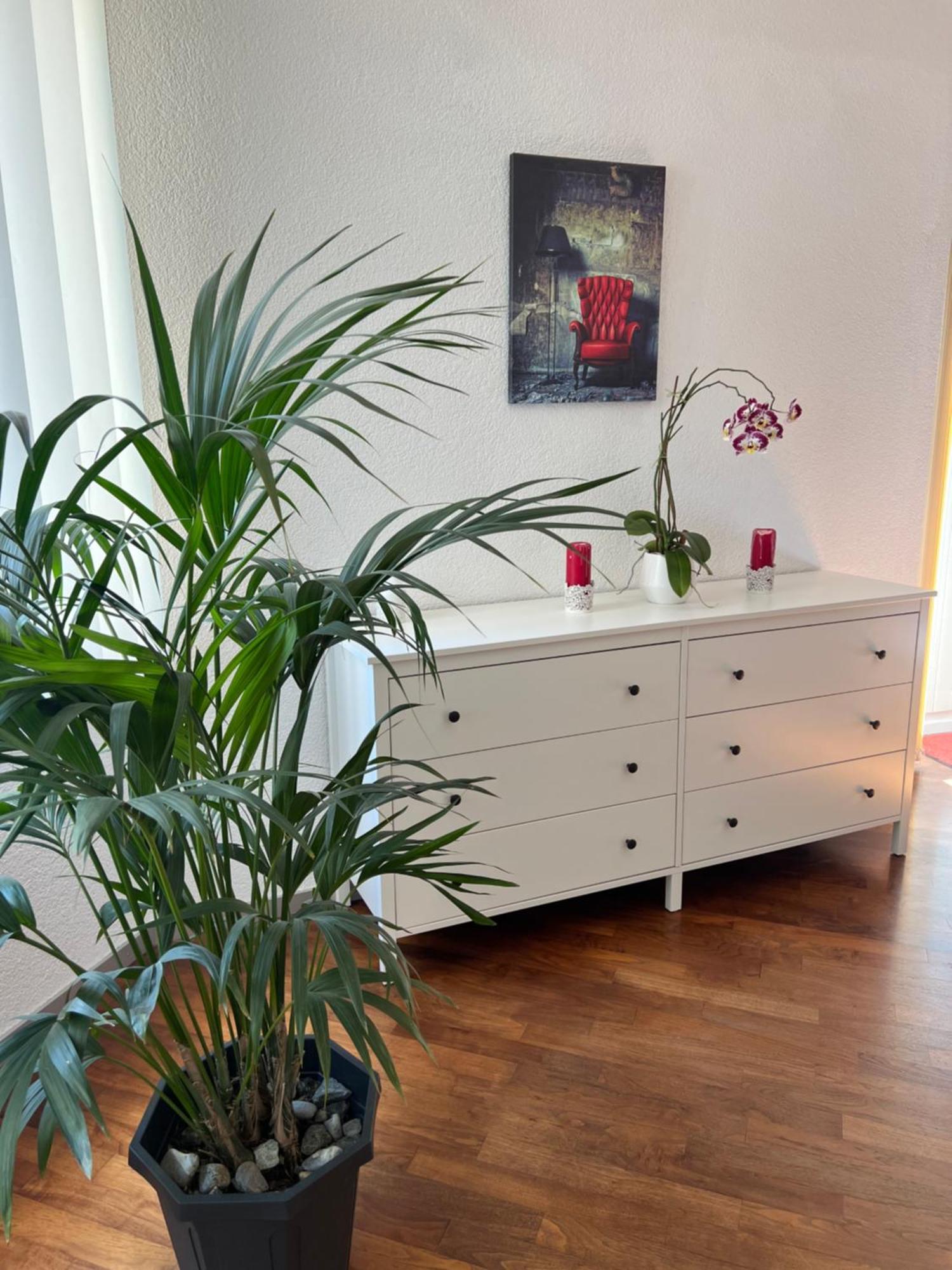 אינטרלאקן Apartment Peter מראה חיצוני תמונה