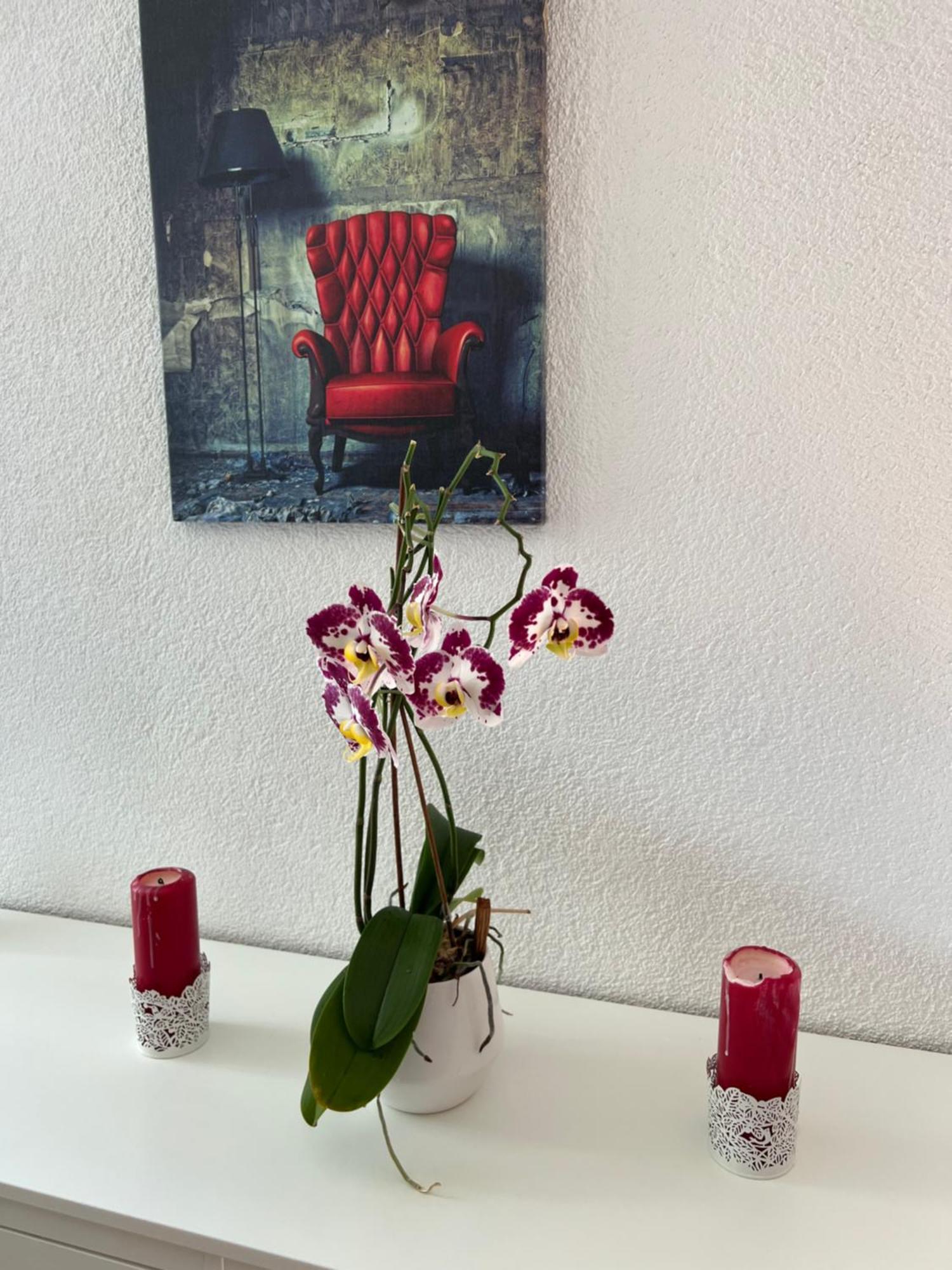 אינטרלאקן Apartment Peter מראה חיצוני תמונה